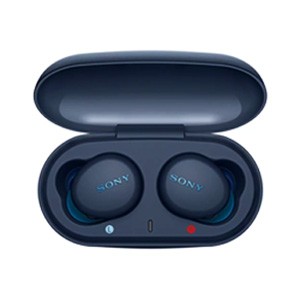 Sony In-Ear True Wireless Earbuds (UK Edition)