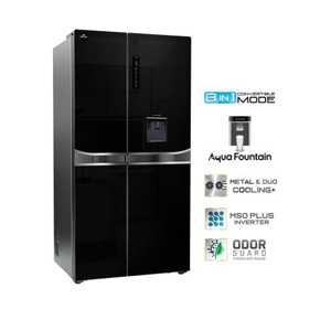 Walton WNR-6D6-GDFS-DD Refrigerator