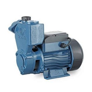 RFL water Pump WP-1"X1"-0.5HP (RPs 60)