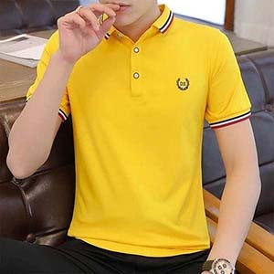Polo T-Shirts for Men Price in BD - Best Quality | Earifin.com
