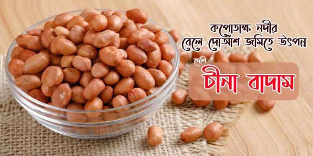 দেশী চীনা বাদাম এর গুণাগুন
