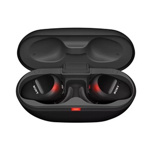 Sony  In-Ear True Wireless Earbuds - Black (UK Edition)