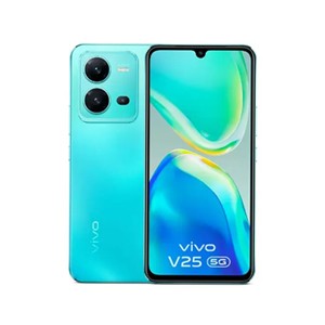 Vivo V25 5G Smartphone