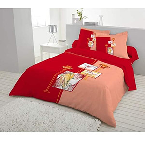Double size bed sheet set (D-14)