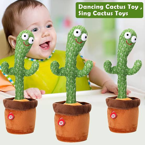 Cactus toy